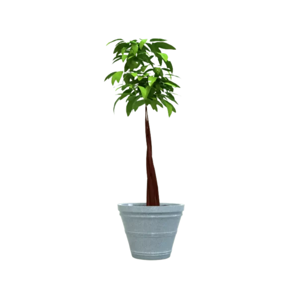 Jardineras urbanas