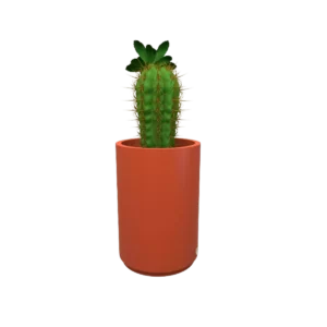Maceta hidromaceteros doble TSSM-MR59