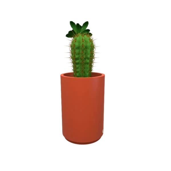 Maceta hidromaceteros doble TSSM-MR59