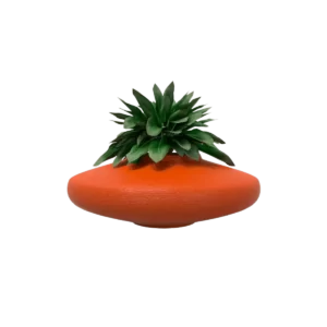 macetas bonsai