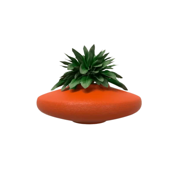 macetas bonsai