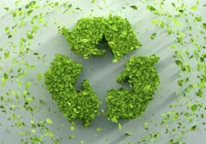 cómo separar la basura 4